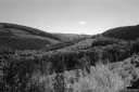 Filename=DL220857.jpg
Filesize=467KiB
Dimensions=1024x681
Date added=Aug 16, 2022 DL220857.jpg