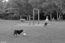 Filename=DL23003.jpg
Filesize=473KiB
Dimensions=1024x681
Date added=Aug 15, 2023 DL23003.jpg