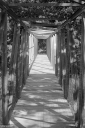 Filename=DL23035.jpg
Filesize=510KiB
Dimensions=681x1024
Date added=Aug 23, 2023 DL23035.jpg