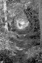 Filename=DL23036.jpg
Filesize=561KiB
Dimensions=681x1024
Date added=Aug 23, 2023 DL23036.jpg