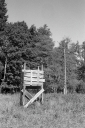 Filename=DL23038.jpg
Filesize=636KiB
Dimensions=681x1024
Date added=Aug 23, 2023 DL23038.jpg