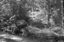 Filename=DL23039.jpg
Filesize=552KiB
Dimensions=1024x681
Date added=Aug 23, 2023 DL23039.jpg