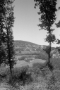 Filename=DL23040.jpg
Filesize=569KiB
Dimensions=681x1024
Date added=Aug 23, 2023 DL23040.jpg