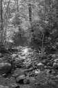 Filename=DL23043.jpg
Filesize=601KiB
Dimensions=681x1024
Date added=Aug 23, 2023 DL23043.jpg
