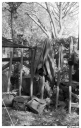 Filename=EH1305105.jpg
Filesize=230KiB
Dimensions=420x660
Date added=Mar 24, 2017 EH1305105.jpg