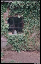 Filename=EH140059.jpg
Filesize=719KiB
Dimensions=520x820
Date added=Mar 05, 2017 EH140059.jpg