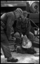 Filename=EH140149.jpg
Filesize=235KiB
Dimensions=520x820
Date added=Mar 05, 2017 EH140149.jpg