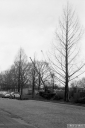 Filename=ET210301.jpg
Filesize=311KiB
Dimensions=600x900
Date added=Mar 19, 2021 ET210301.jpg