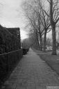 Filename=ET210302.jpg
Filesize=324KiB
Dimensions=600x900
Date added=Mar 19, 2021 ET210302.jpg