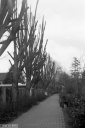 Filename=ET210303.jpg
Filesize=301KiB
Dimensions=600x900
Date added=Mar 19, 2021 ET210303.jpg