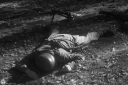Filename=EW22043.jpg
Filesize=395KiB
Dimensions=1024x681
Date added=Oct 21, 2022 EW22043.jpg