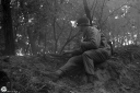 Filename=EW22050.jpg
Filesize=425KiB
Dimensions=1024x681
Date added=Oct 21, 2022 EW22050.jpg
