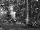 Filename=EW22102.jpg
Filesize=520KiB
Dimensions=1024x768
Date added=Oct 24, 2022 EW22102.jpg