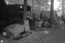 Filename=EW240013.jpg
Filesize=518KiB
Dimensions=1024x681
Date added=Sep 02, 2024 EW240013.jpg