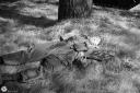 Filename=EW240047.jpg
Filesize=635KiB
Dimensions=1024x681
Date added=Sep 02, 2024 EW240047.jpg