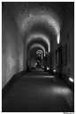 Filename=FE130301.jpg
Filesize=141KiB
Dimensions=446x660
Date added=Mar 24, 2017 FE130301.jpg