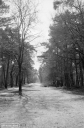 Filename=FR210404.jpg
Filesize=326KiB
Dimensions=532x806
Date added=Apr 04, 2021 FR210404.jpg