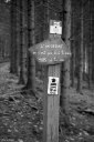 Filename=FS250203.jpg
Filesize=326KiB
Dimensions=681x1024
Date added=Feb 23, 2025 FS250203.jpg