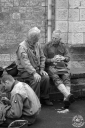 Filename=FT1609152.jpg
Filesize=482KiB
Dimensions=681x1024
Date added=Mar 19, 2017 FT1609152.jpg