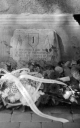 Filename=FT1609674.jpg
Filesize=331KiB
Dimensions=640x1024
Date added=Mar 19, 2017 FT1609674.jpg