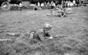 Filename=FV160820.jpg
Filesize=289KiB
Dimensions=800x500
Date added=Mar 19, 2017 FV160820.jpg