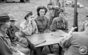 Filename=FV160829.jpg
Filesize=271KiB
Dimensions=800x500
Date added=Mar 19, 2017 FV160829.jpg