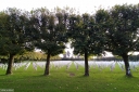 Filename=FV220044.jpg
Filesize=717KiB
Dimensions=1024x681
Date added=Nov 15, 2022 FV220044.jpg