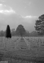 Filename=FV220172.jpg
Filesize=299KiB
Dimensions=567x800
Date added=Nov 20, 2022 FV220172.jpg