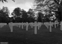 Filename=FV220175.jpg
Filesize=328KiB
Dimensions=800x573
Date added=Nov 20, 2022 FV220175.jpg