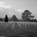 Filename=FV220187.jpg
Filesize=366KiB
Dimensions=800x800
Date added=Nov 20, 2022 FV220187.jpg