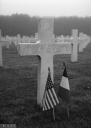 Filename=FV220201.jpg
Filesize=278KiB
Dimensions=574x800
Date added=Nov 27, 2022 FV220201.jpg