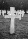 Filename=FV220205.jpg
Filesize=334KiB
Dimensions=574x800
Date added=Nov 27, 2022 FV220205.jpg
