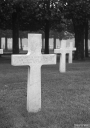 Filename=FV220207.jpg
Filesize=302KiB
Dimensions=567x800
Date added=Nov 27, 2022 FV220207.jpg