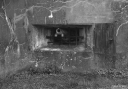 Filename=FV220220.jpg
Filesize=316KiB
Dimensions=800x562
Date added=Nov 27, 2022 FV220220.jpg