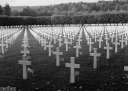Filename=FV220241.jpg
Filesize=346KiB
Dimensions=800x569
Date added=Nov 27, 2022 FV220241.jpg