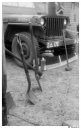 Filename=GM130454.jpg
Filesize=175KiB
Dimensions=420x660
Date added=Mar 24, 2017 GM130454.jpg