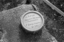 Filename=GM240437.jpg
Filesize=570KiB
Dimensions=1024x681
Date added=Apr 09, 2024 GM240437.jpg