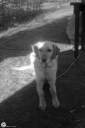 Filename=GM250410.jpg
Filesize=404KiB
Dimensions=681x1024
Date added=Apr 09, 2025 GM250410.jpg