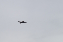 Filename=GR230907.jpg
Filesize=277KiB
Dimensions=1024x681
Date added=Sep 18, 2023 GR230907.jpg