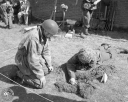 Filename=HB160565.jpg
Filesize=367KiB
Dimensions=800x640
Date added=Mar 19, 2017 HB160565.jpg
