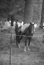 Filename=HD220740.jpg
Filesize=118KiB
Dimensions=329x480
Date added=Jul 19, 2022 HD220740.jpg
