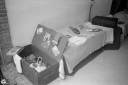 Filename=HM230625.jpg
Filesize=411KiB
Dimensions=1024x681
Date added=Jun 21, 2023 HM230625.jpg