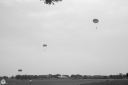 Filename=HM230667.jpg
Filesize=378KiB
Dimensions=1024x681
Date added=Jun 26, 2023 HM230667.jpg