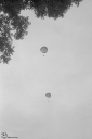 Filename=HM230669.jpg
Filesize=399KiB
Dimensions=681x1024
Date added=Jun 26, 2023 HM230669.jpg
