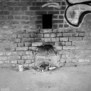 HR251003.jpg