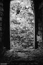 Filename=HR251015.jpg
Filesize=527KiB
Dimensions=681x1024
Date added=Oct 08, 2025 HR251015.jpg