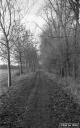 Filename=HT190104.jpg
Filesize=351KiB
Dimensions=500x800
Date added=Jan 27, 2019 HT190104.jpg