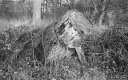 Filename=HT190105.jpg
Filesize=380KiB
Dimensions=800x500
Date added=Jan 27, 2019 HT190105.jpg