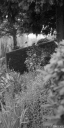 Filename=HT210605.jpg
Filesize=411KiB
Dimensions=600x1200
Date added=Jun 26, 2021 HT210605.jpg