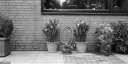 Filename=HT210606.jpg
Filesize=441KiB
Dimensions=1200x600
Date added=Jun 26, 2021 HT210606.jpg
